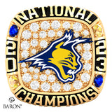 Arizona Bobcats Hockey 2023 Championship Ring Top Pendant - Design 1.4