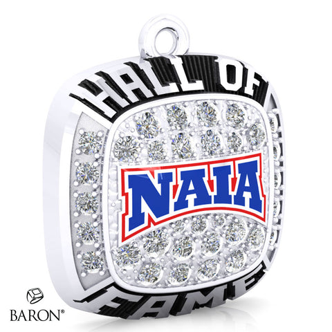 NAIA Hall of fame Pendant - Design 2.6 (Durilium / 6k White Gold / 10k White Gold)