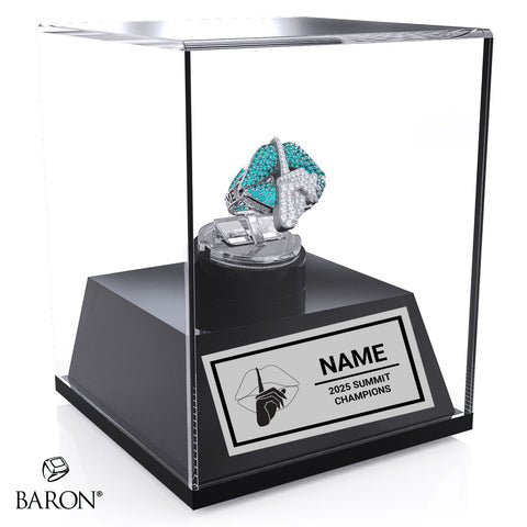 South Coast Cheer 2025 Hush International Junior 4 Championship Display Case