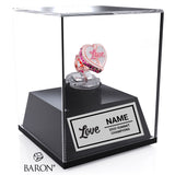 South Coast Cheer 2025 Love International Junior Level 1 Championship Display Case