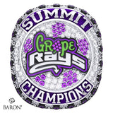 The Stingray Allstars Grape 2025 Championship Ring - Design 1.3