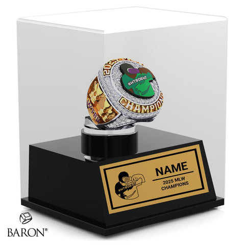 WTBD 2025 Championship Display Case