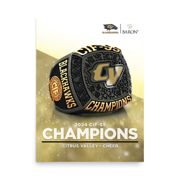 Citrus Valley Cheer 2024 Championship Poster