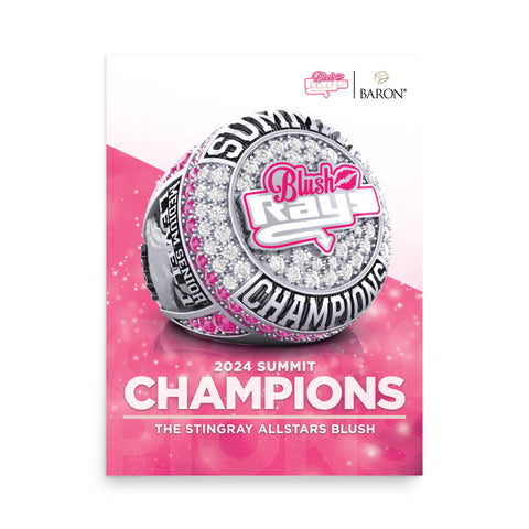 The Stingray Allstars Blush Summit 2024 Championship Poster