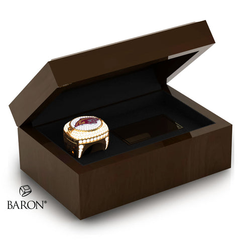Lakeville South High School Football 2021 Championship Ring Box