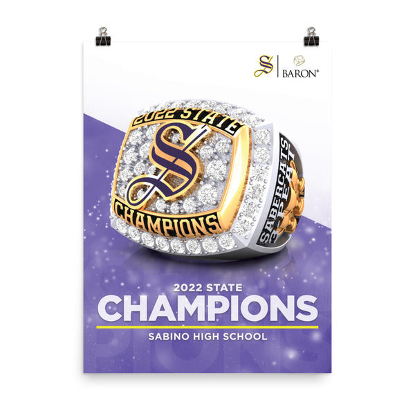 Sabino High School Softball 2022 Championship Poster